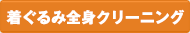 着ぐるみ全身クリーニング